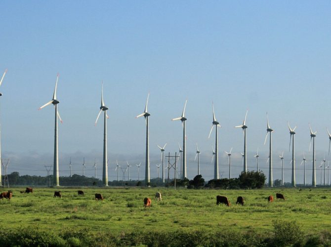 Parque eólico instalado en Tamaulipas.